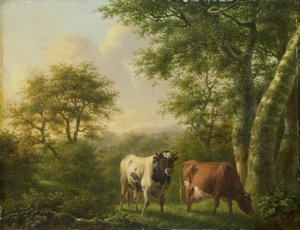 Landschap met vee