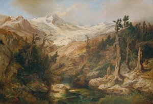Rauriser Goldberggletscher