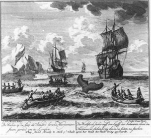  door Adolf van der Laan