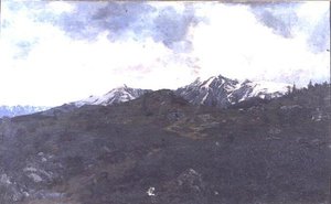 In Alpenweiden