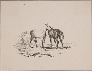 De twee paarden