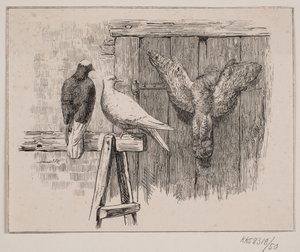 De duiven