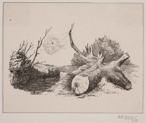 De Spin door Johan Adolph Kittendorff
