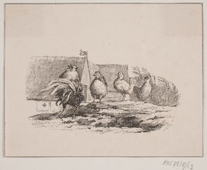 De haan door Johan Adolph Kittendorff