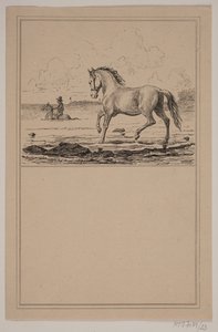 Het paard in het water. Nr. 22 in Chr. Winther en M. Rørbye, "25 Afbeeldingen voor kleine kinderen" door Johan Adolph Kittendorff