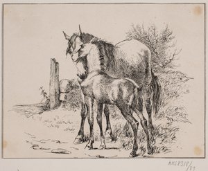 Het paard en het veulen door Johan Adolph Kittendorff