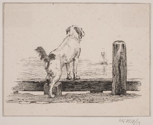 Hond op het strand