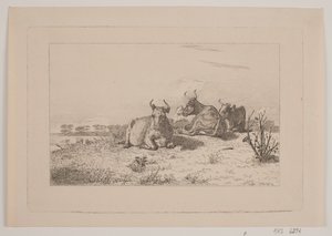 Rustende koeien