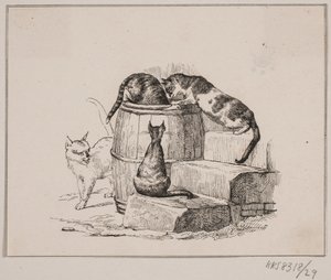 De katten door Johan Adolph Kittendorff