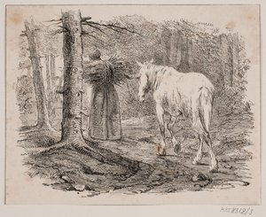 De Vrouw en het Paard