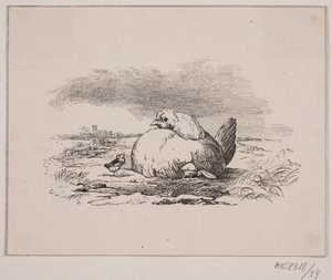 De kuikens door Johan Adolph Kittendorff