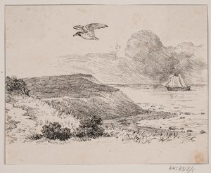 De meeuw door Johan Adolph Kittendorff