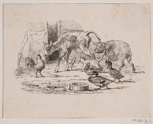 Kalf door Johan Adolph Kittendorff