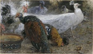 De witte pauw met een kalkoen en kippen. Uit het „Kinderalbum“ door Adolph Menzel
