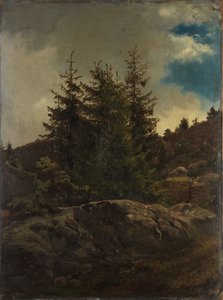  door Adolph Tidemand