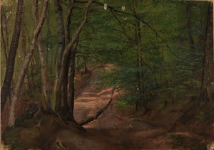  door Adolph Tidemand