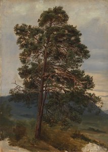  door Adolph Tidemand