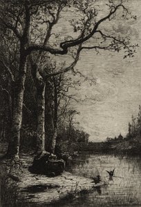 De Burbanche Marsh (grote plaat), c.1870