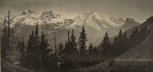  door Adolphe Braun