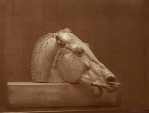 [Paardenkop uit het fronton van het Parthenon, British Museum] door Adolphe Braun