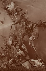 [Still Life: Dead Game].