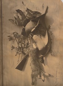 [Stilleven: Dood wild] door Adolphe Braun