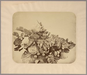 Stilleven met kweeperen en bessen door Adolphe Braun
