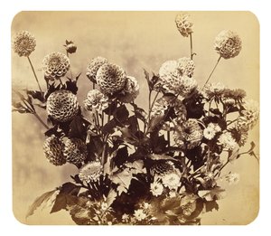 Zonder titel, ca. 1860
