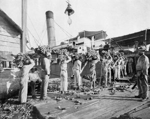 Bananen laden, Port Antonio, Jamaica, ca. 1905
