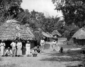 Inheemse hutten, Jamaica, c1905