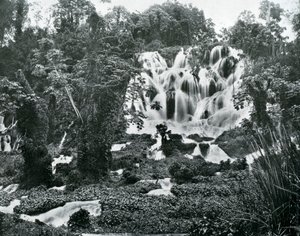 Roaring River Falls, Jamaica, ca. 1905