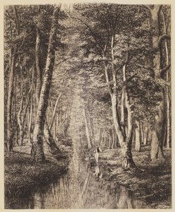 Rivier onder bomen door Adolphe Martial Potemont