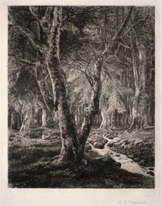 Bos van Pierrefonds
