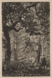 In het Bos door Adolphe Théodore Jules Martial Potémont