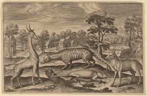 Een giraffe, een kameleon, een civetkat en een antilope