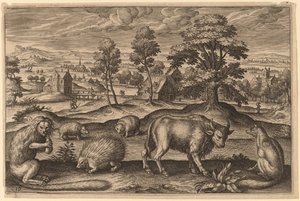 Een aap, een stekelvarken, twee egels, een buffel en een vos