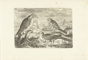 Drie vogels in een landschap door Adriaen Collaert