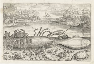 Een vis en enkele schaaldieren op het strand door Adriaen Collaert