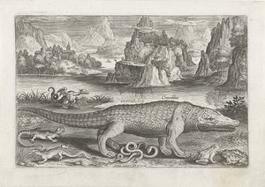 Enkele reptielen en amfibieën op een oever door Adriaen Collaert