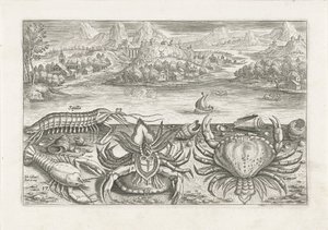 Enkele schaaldieren op het strand door Adriaen Collaert