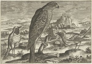Enkele vogels in een landschap door Adriaen Collaert