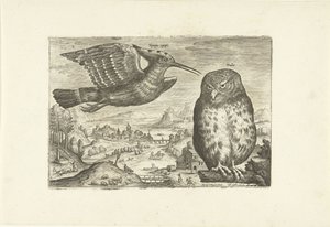 Enkele vogels in een landschap door Adriaen Collaert