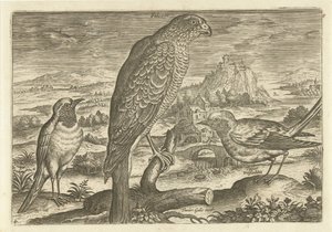 Enkele vogels in een landschap door Adriaen Collaert
