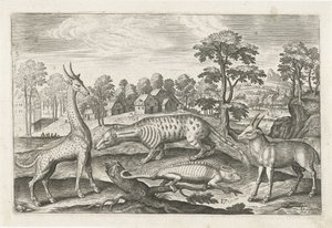 Exotische dieren