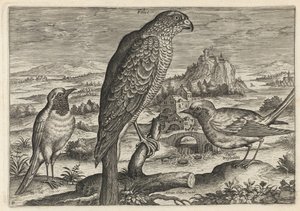 door Adriaen Collaert