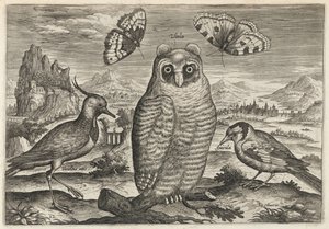  door Adriaen Collaert
