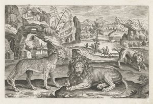 Leeuwen en luipaard door Adriaen Collaert