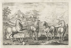 Paarden door Adriaen Collaert