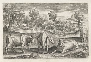Runderen door Adriaen Collaert