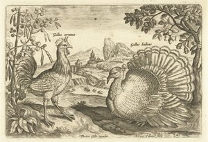 Twee hoenderen in een landschap door Adriaen Collaert